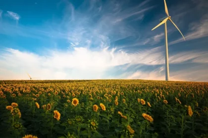 Empowering Tomorrow: The Growth of Clean Energy Investments