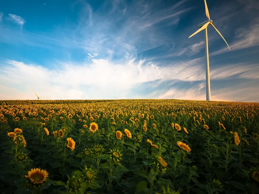 Empowering Tomorrow: The Growth of Clean Energy Investments